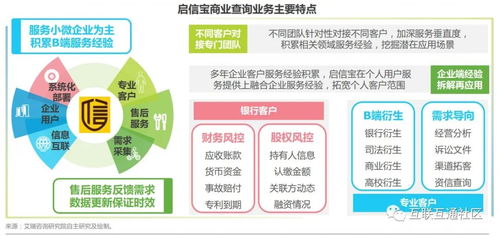 中国商业查询典型厂商案例